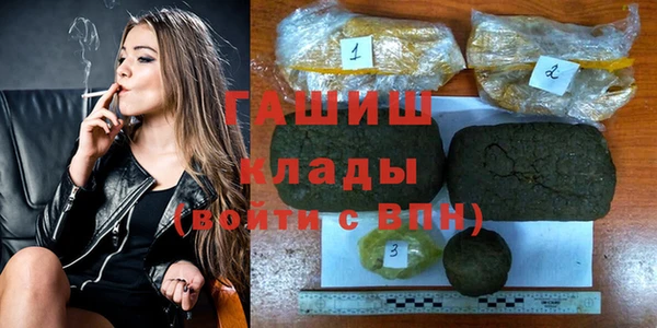 индика Бронницы