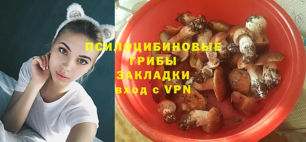дурь Верхний Тагил