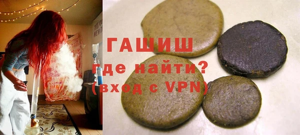индика Бородино