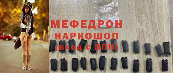 индика Бородино