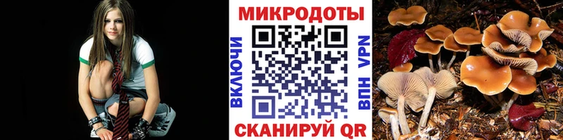 Галлюциногенные грибы Psilocybine cubensis дарнет шоп MEGA сайт Ворсма